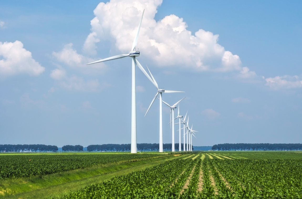 今年会·(中国集团)官方网站